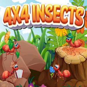 4x4 insectes