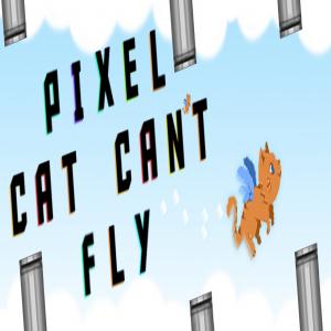 Pixelkatze kann t fliegen