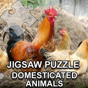 Jigsaw Puzzle domestizierte Tiere