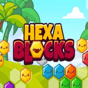 Blocs hexa