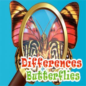 Отличия бабочек