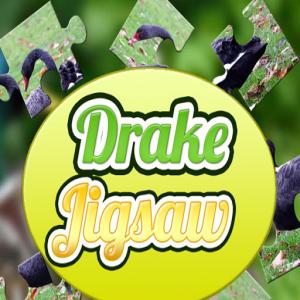 Jigsaw Drake