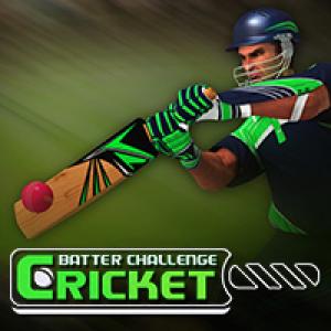 Игра Cricket Batter Challenge