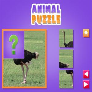 Puzzle animal