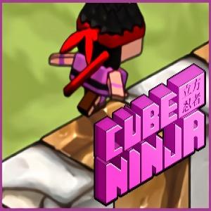 Cube Ninja.