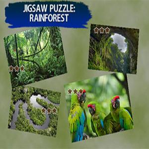 Jigsaw Puzzle-Regenwald