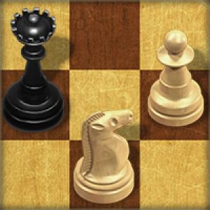 Мастер шахмат