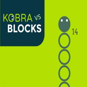 Kobra vs Blocks.