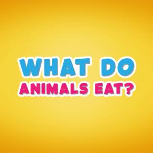 Qu'est-ce que les animaux mangent