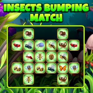 Insectes cogning match