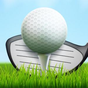 Mini club de golf
