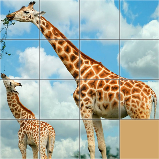 Les animaux glissent le puzzle