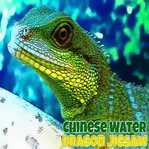 Jigsaw de dragon d'eau chinois