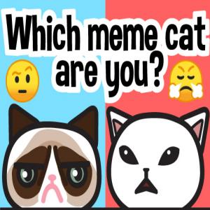 Quel chat meme es-tu?