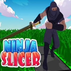 Slicer ninja