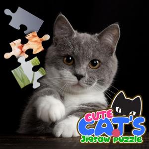 Симпатичні коти -головоломки