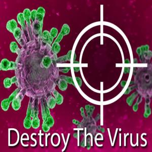 Zerstöre den Virus