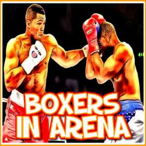 Boxers en arène
