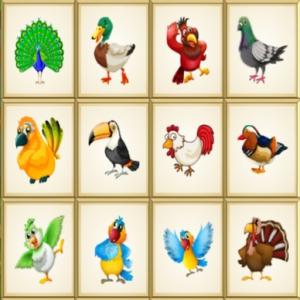 Puzzles d'Oiseaux