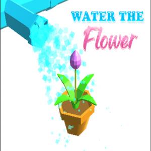 Wasser die Blume Wasser