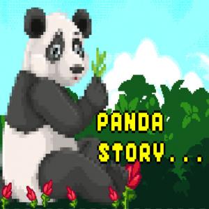 Історія панди