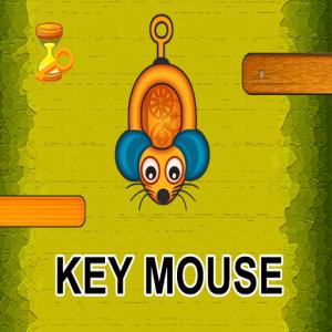 Ключ миші