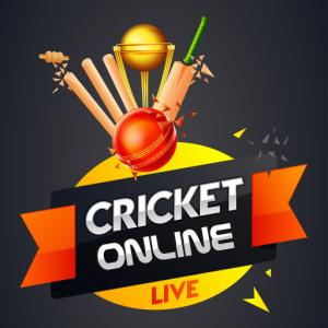 Крикет Інтернет