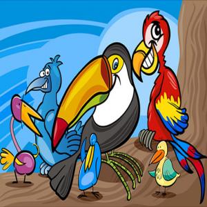Раскраски экзотические птицы