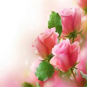 Пазл с розовыми розами