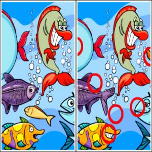 Différences de poisson