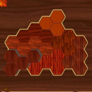 Дерев'яний блок Гекса-гра-головоломка
