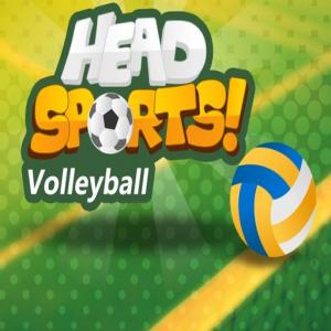 Head Sports Волейбол
