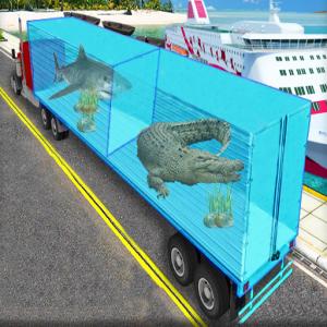 Транспорт Морское Животное