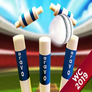 Cricket-Weltcup-Spiel 2019 Mini-Boden-Cricket