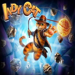Indy cat.