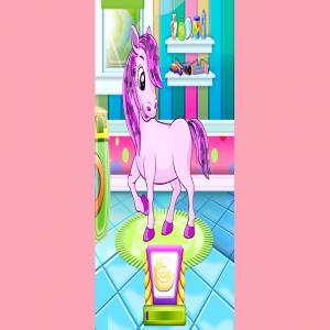 Salon Pony Pet