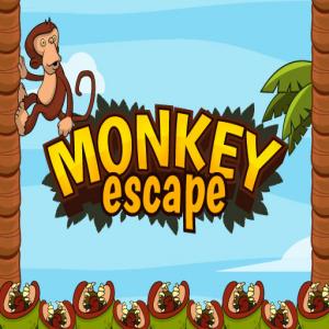 Побег обезьяны