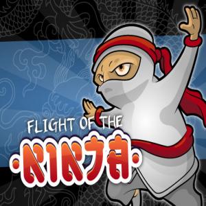 Flug der Ninja